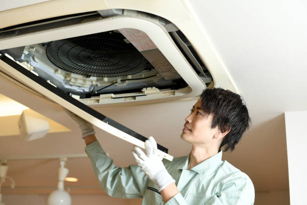 Best Home Air Vent Cleaning  in Lmar, DE